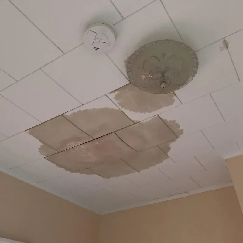 Ceiling Water Damage Repair in Jersey Shore, PA